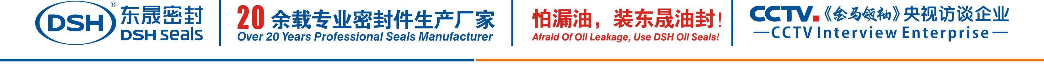 怕漏油，裝東晟油封！